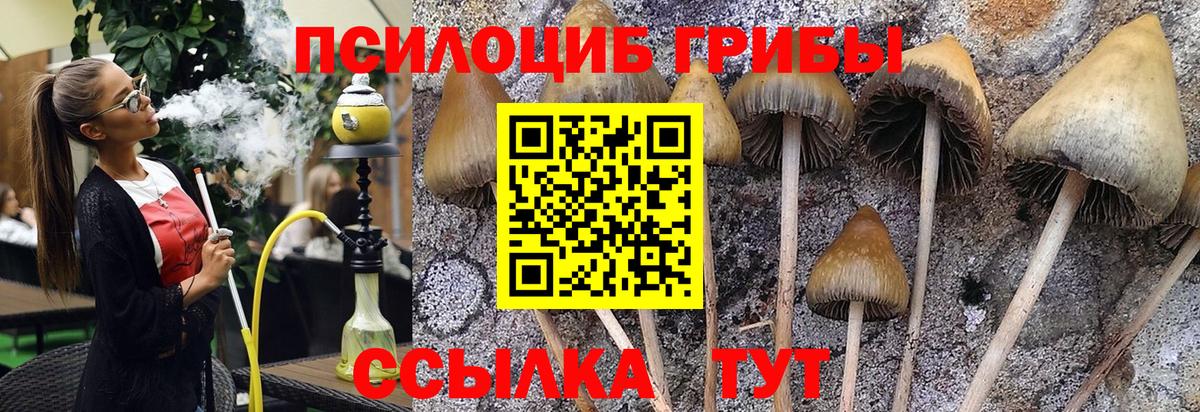 купить наркоту  Псилоцибиновые грибы мухоморы  Всеволожск  Вход с VPN  Галлюциногенные грибы GOLDEN TEACHER 
