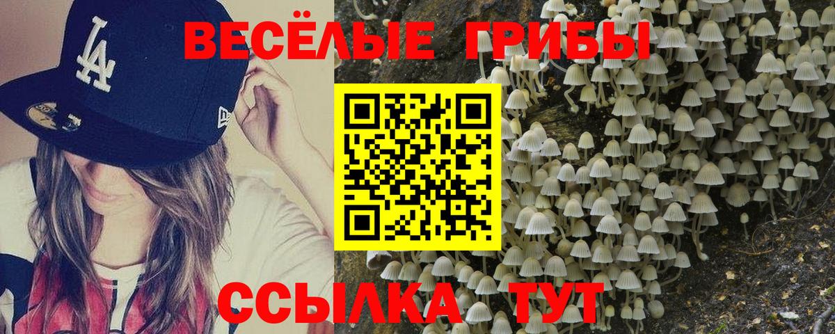 Псилоцибиновые грибы прущие грибы Всеволожск